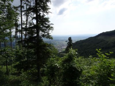 Kliknite za ogled večje slike
