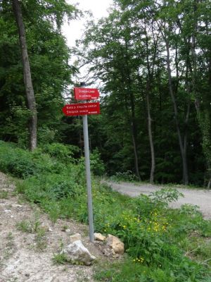 Kliknite za ogled večje slike