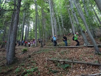 Kliknite za ogled večje slike