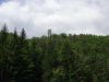 DSC06260.JPG