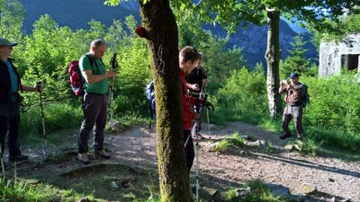 Kliknite za ogled večje slike