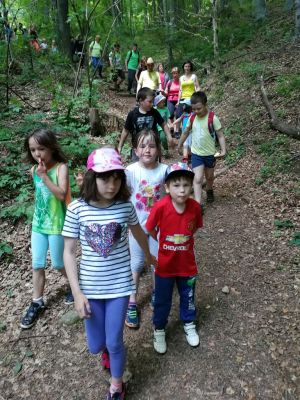 Kliknite za ogled večje slike