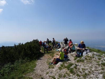 Kliknite za ogled večje slike