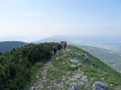 Kliknite za ogled večje slike
