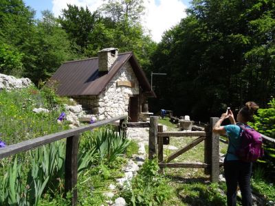Kliknite za ogled večje slike