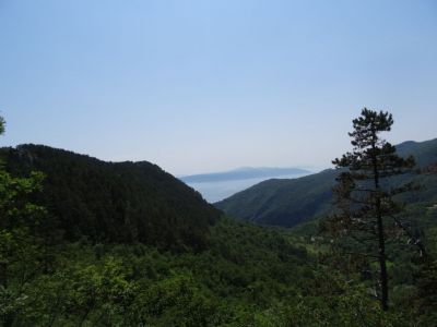 Kliknite za ogled večje slike