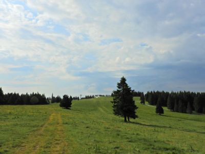 Kliknite za ogled večje slike