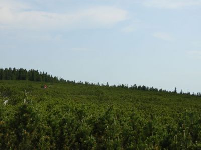 Kliknite za ogled večje slike