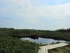 DSCN1683.JPG