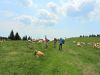 DSCN1686.JPG
