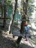 IMG_20170624_122439.jpg