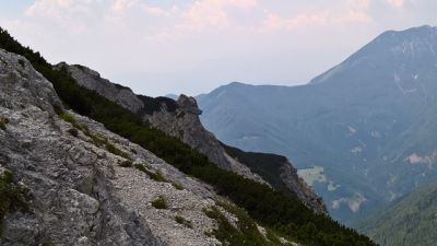 Kliknite za ogled večje slike