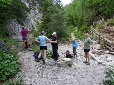Kliknite za ogled večje slike