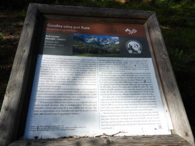 Kliknite za ogled večje slike