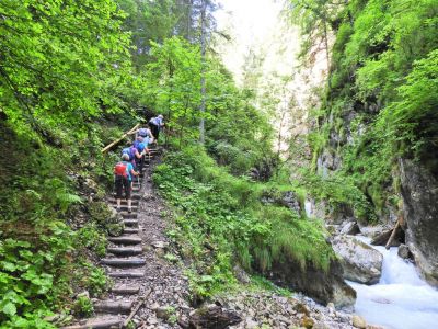 Kliknite za ogled večje slike