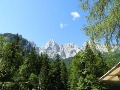 Kliknite za ogled večje slike