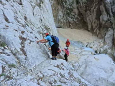 Kliknite za ogled večje slike
