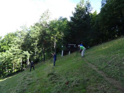 Kliknite za ogled večje slike