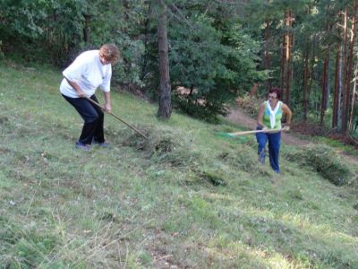 Kliknite za ogled večje slike
