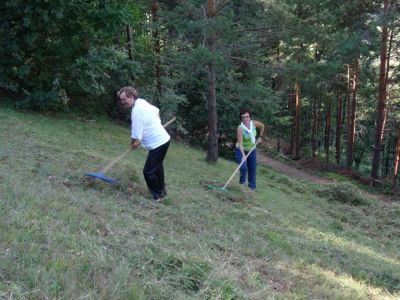 Kliknite za ogled večje slike