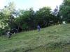 DSC06783.JPG