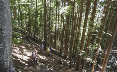 Kliknite za ogled večje slike