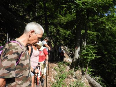 Kliknite za ogled večje slike