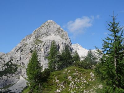 Kliknite za ogled večje slike
