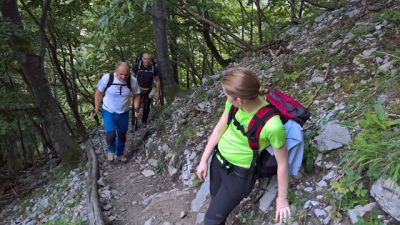 Kliknite za ogled večje slike