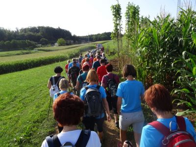 Kliknite za ogled večje slike