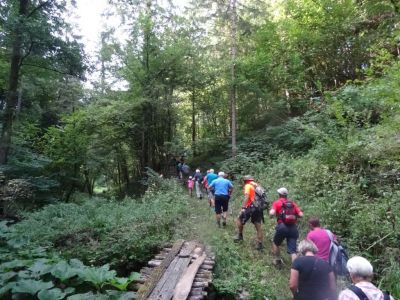 Kliknite za ogled večje slike