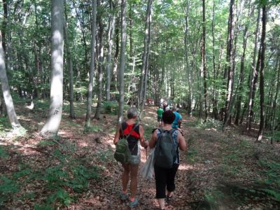 Kliknite za ogled večje slike