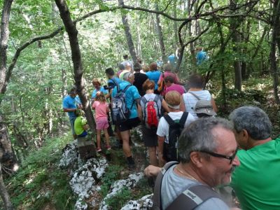 Kliknite za ogled večje slike