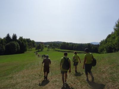 Kliknite za ogled večje slike
