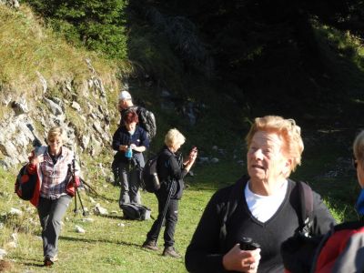 Kliknite za ogled večje slike