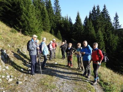 Kliknite za ogled večje slike