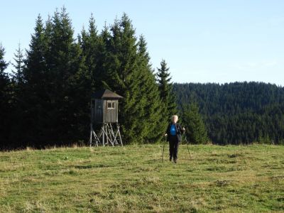 Kliknite za ogled večje slike