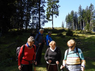 Kliknite za ogled večje slike