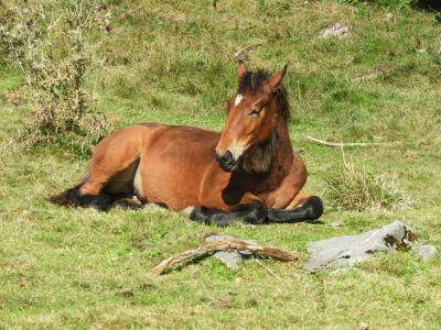 Kliknite za ogled večje slike