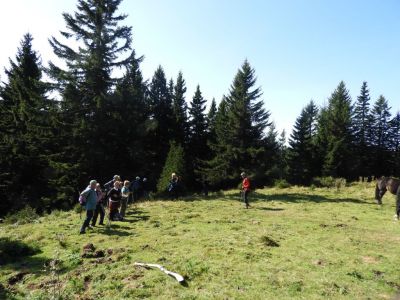 Kliknite za ogled večje slike