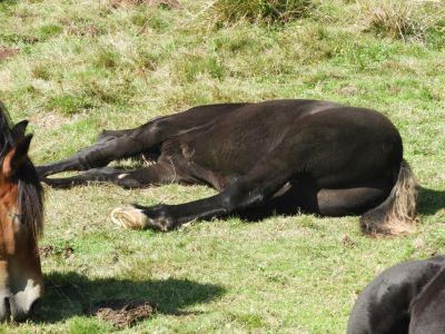 Kliknite za ogled večje slike