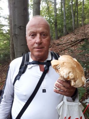 Kliknite za ogled večje slike