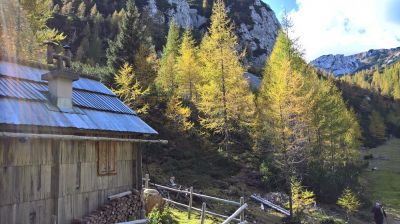 Kliknite za ogled večje slike
