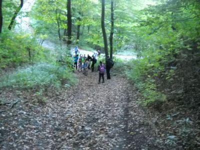 Kliknite za ogled večje slike