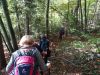 DSC08147.JPG