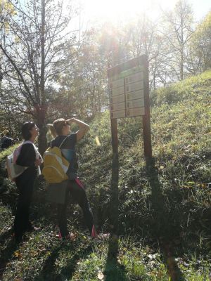 Kliknite za ogled večje slike