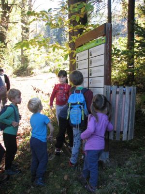 Kliknite za ogled večje slike