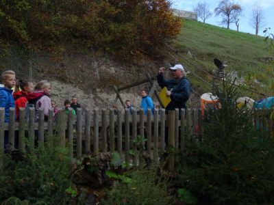 Kliknite za ogled večje slike
