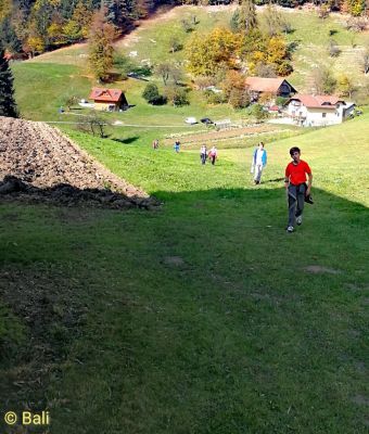 Kliknite za ogled večje slike
