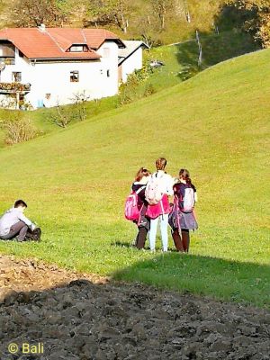Kliknite za ogled večje slike